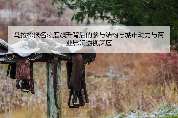 ma-la-song-bao-ming-re-du-biao-sheng-bei-hou-de-can-yu-jie-gou-yu-cheng-shi-dong-li-yu-shang-ye-ying-xiang-tou-shi-shen-2-331.jpg